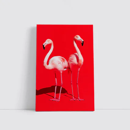 Two Pink Flamingos On Red Background
