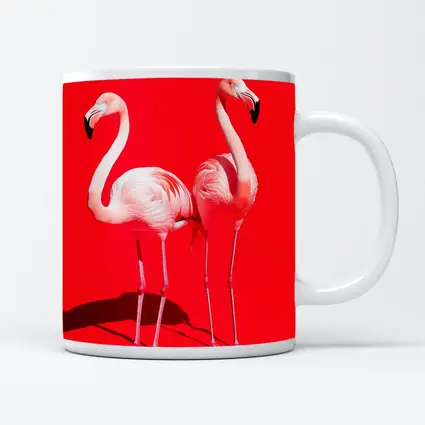 Two Pink Flamingos On Red Background