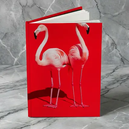 Two Pink Flamingos On Red Background