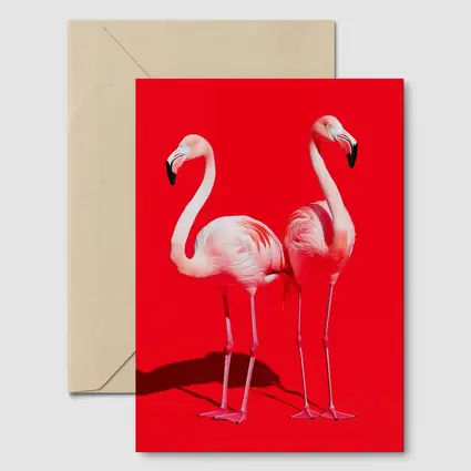 Two Pink Flamingos On Red Background