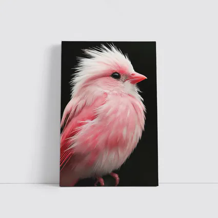 Pink Bird White Crest Dark Background