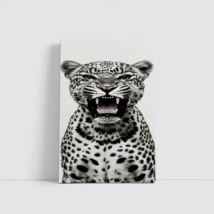 Roaring Leopard Portrait Black White Background