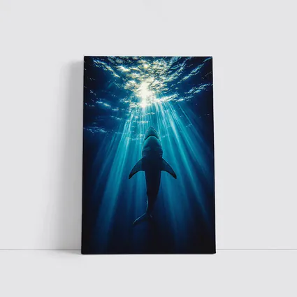 Great White Shark Deep Blue Ocean Light