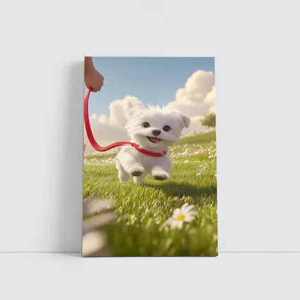 White Maltese Puppy Running Green Field