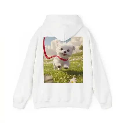 White Maltese Puppy Running Green Field