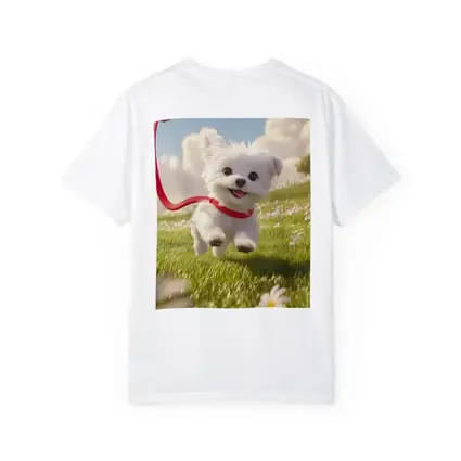 White Maltese Puppy Running Green Field