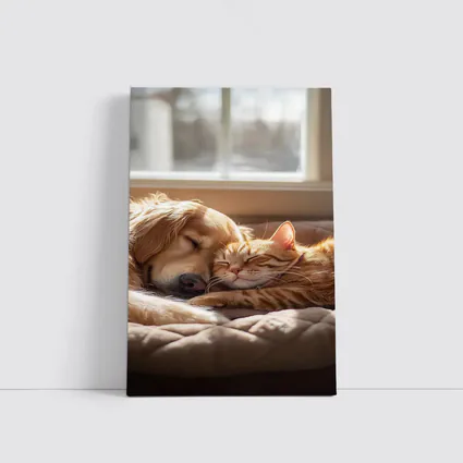 Golden Retriever and Orange Tabby Cat Sleeping