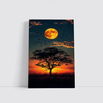 Full Moon Tree Silhouette African Sunset Sky