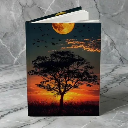 Full Moon Tree Silhouette African Sunset Sky