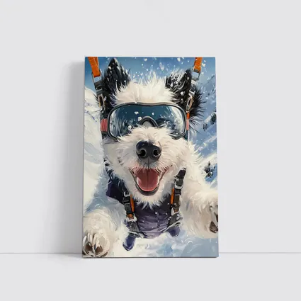 Happy Dog Skydiving Snow Mountain Adventure