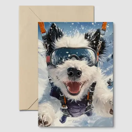 Happy Dog Skydiving Snow Mountain Adventure