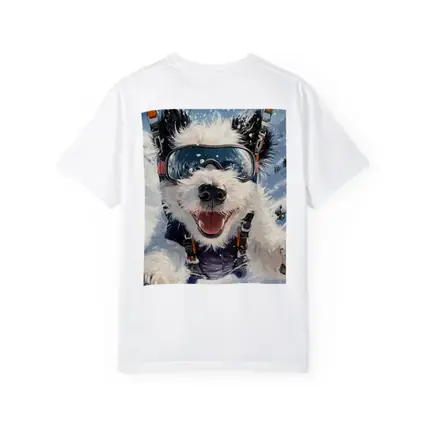 Happy Dog Skydiving Snow Mountain Adventure