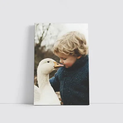 Child Kissing White Goose Outdoors