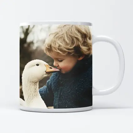 Child Kissing White Goose Outdoors
