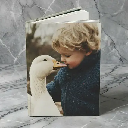 Child Kissing White Goose Outdoors