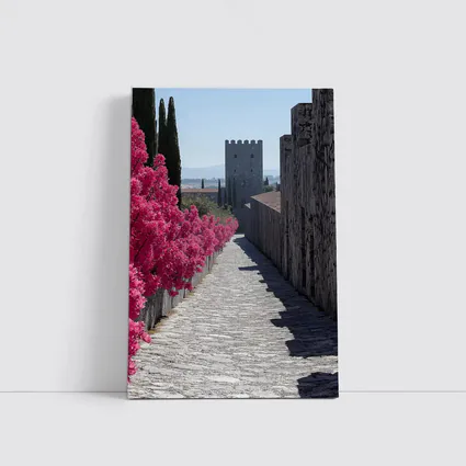 Medieval Castle Tower Pink Bougainvillea Pathway