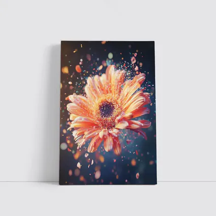 Exploding Gerbera Daisy Orange Bokeh Background