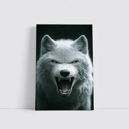 White Wolf Snarling Against Dark Background
