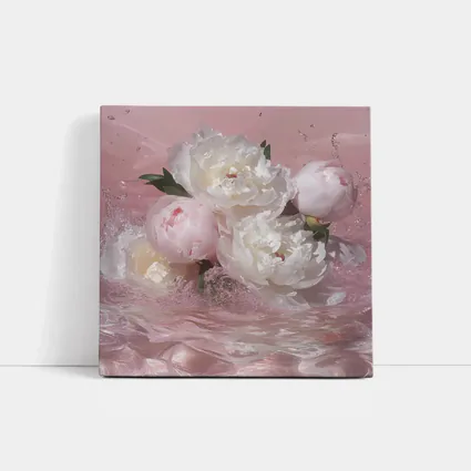 White Pink Peonies Splashing in Water