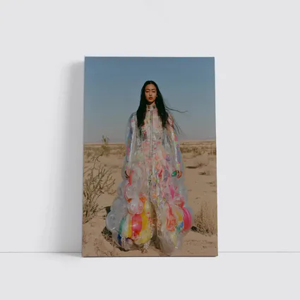 Woman Plastic Dress Desert Fashion Art