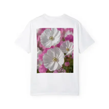 White Cosmos Flowers Pink Field Blue Sky