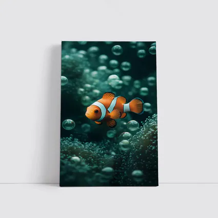 Clownfish Swimming Among Sea Anemone Bubbles