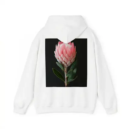 Pink Protea Flower Dark Black Background