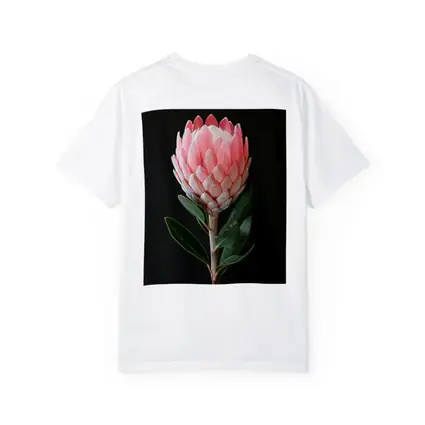Pink Protea Flower Dark Black Background