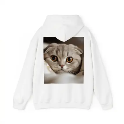 Scottish Fold Cat Close Up Soft Background