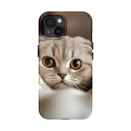 Scottish Fold Cat Close Up Soft Background