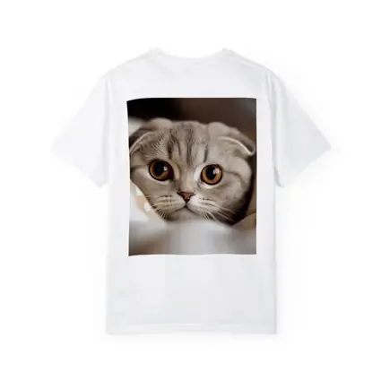 Scottish Fold Cat Close Up Soft Background