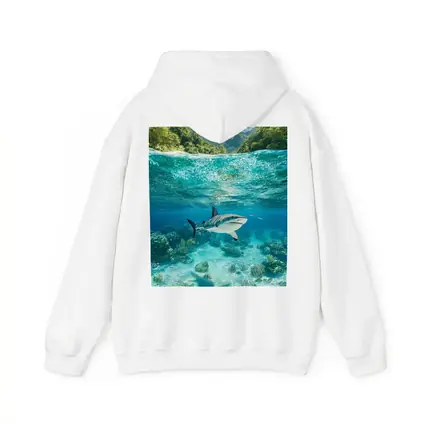Reef Shark Swimming Tropical Island Underwater