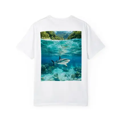 Reef Shark Swimming Tropical Island Underwater