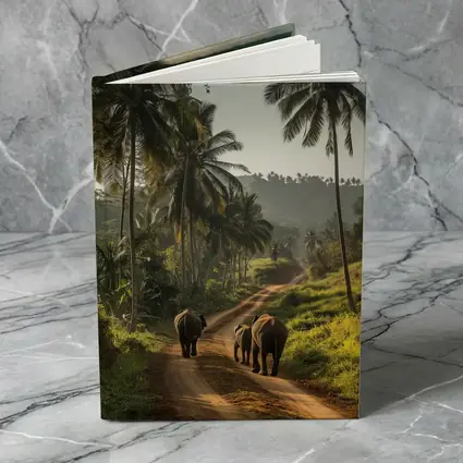 Two Elephants Walking Tropical Palm Road