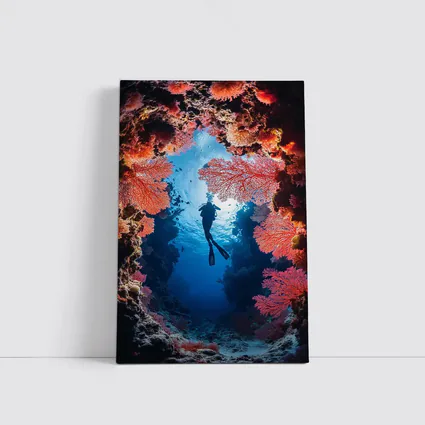 Scuba Diver Silhouette Deep Ocean Coral Reef