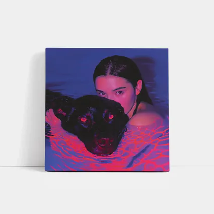Woman and Black Dog in Neon Pool