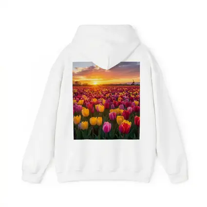 Tulip Field Sunset Windmill Dutch Countryside