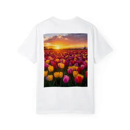 Tulip Field Sunset Windmill Dutch Countryside