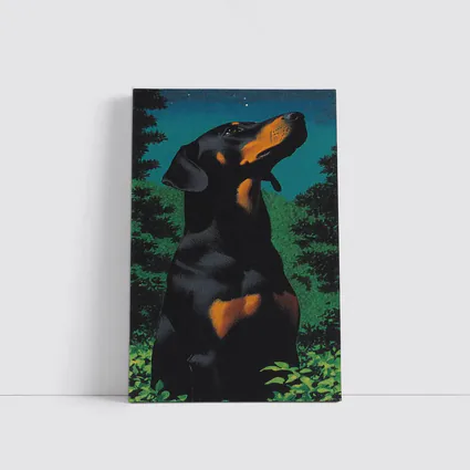 Doberman Pinscher Gazing at Night Sky