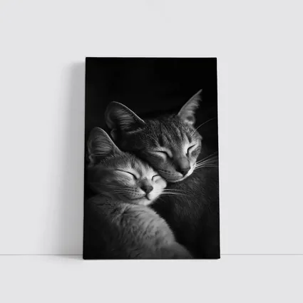 Two Cats Sleeping Together Black Background