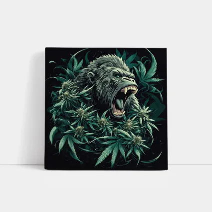 Roaring Gorilla Surrounded By Cannabis Leaves