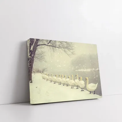 White Swans Walking In Snowy Winter Landscape