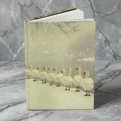 White Swans Walking In Snowy Winter Landscape
