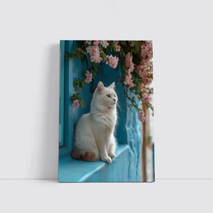 White Cat Sitting on Blue Window Ledge