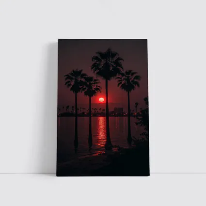 Red Sunset Palm Trees Coastal City View