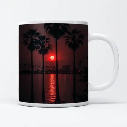 Red Sunset Palm Trees Coastal City View