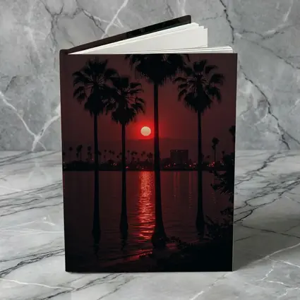 Red Sunset Palm Trees Coastal City View