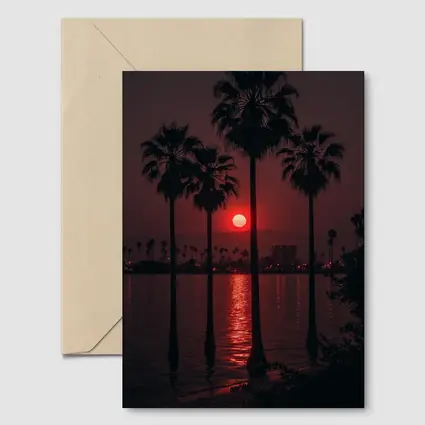 Red Sunset Palm Trees Coastal City View