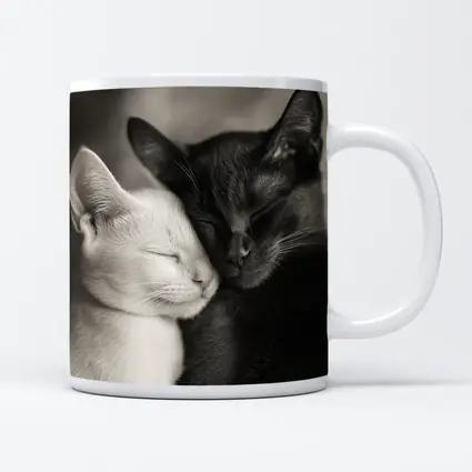 Black And White Cats Cuddling Together