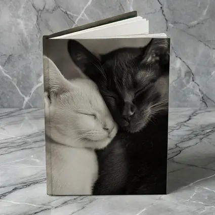 Black And White Cats Cuddling Together